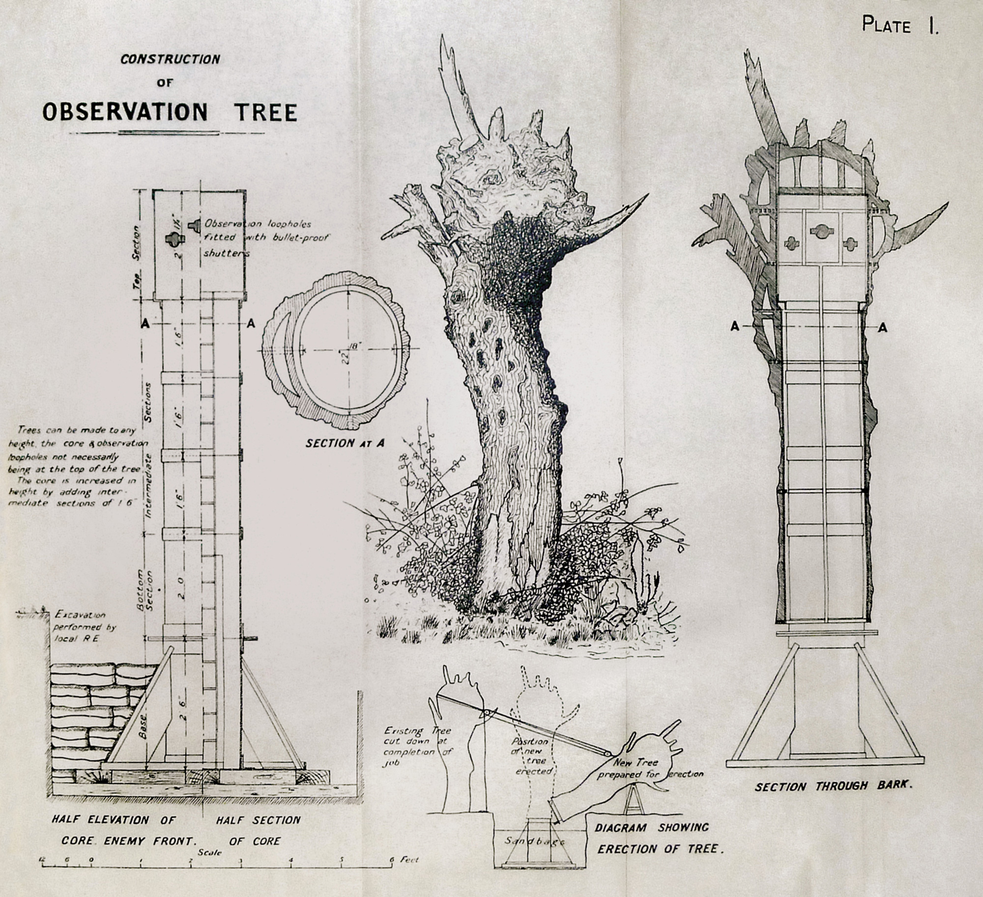 British Royal Engineers’ plans showing the construction of an observation tree. The plans also show a pivoted pulley system used to haul the tree into position.