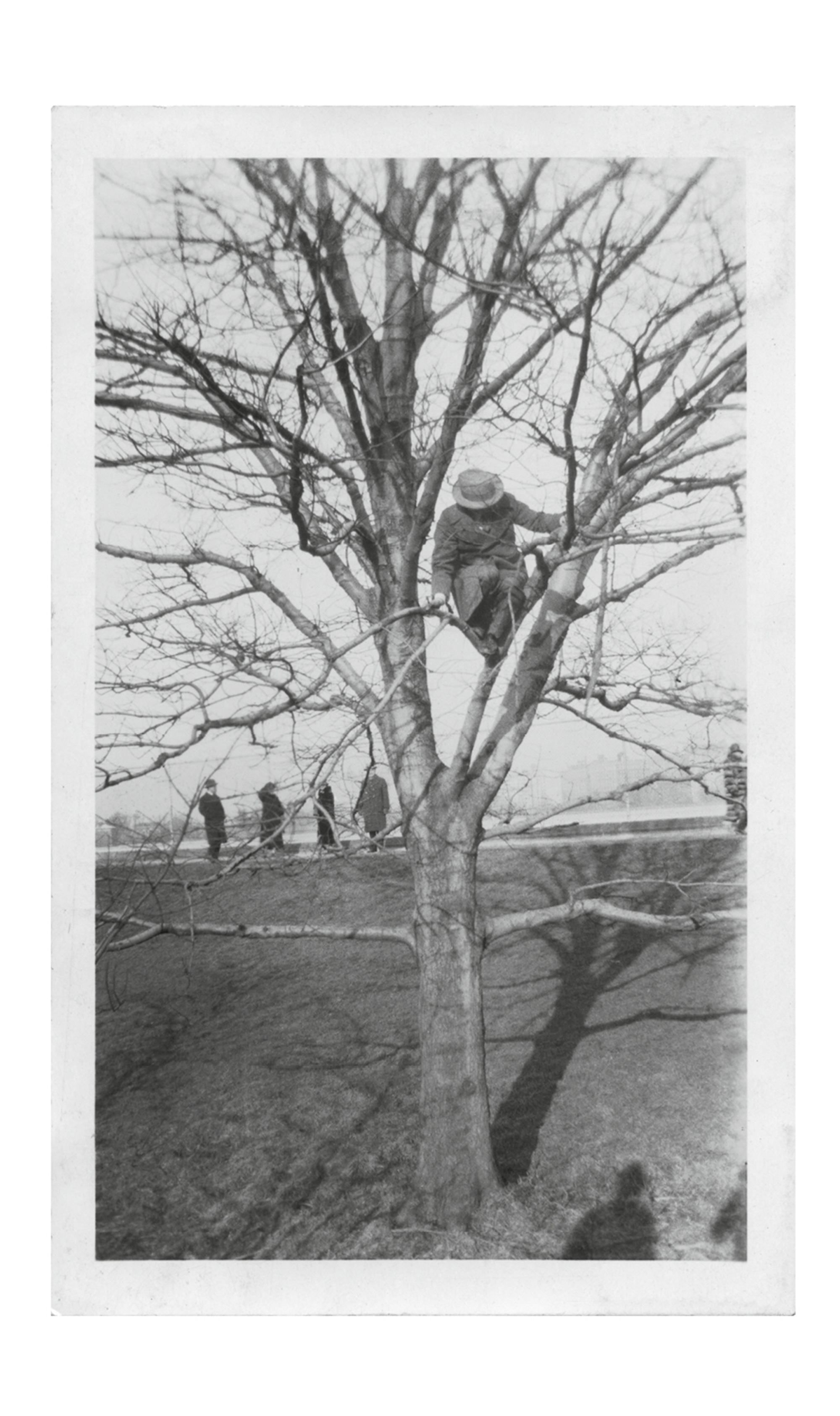 A photograph of a man in a greatcoat and hat climbing a tree.