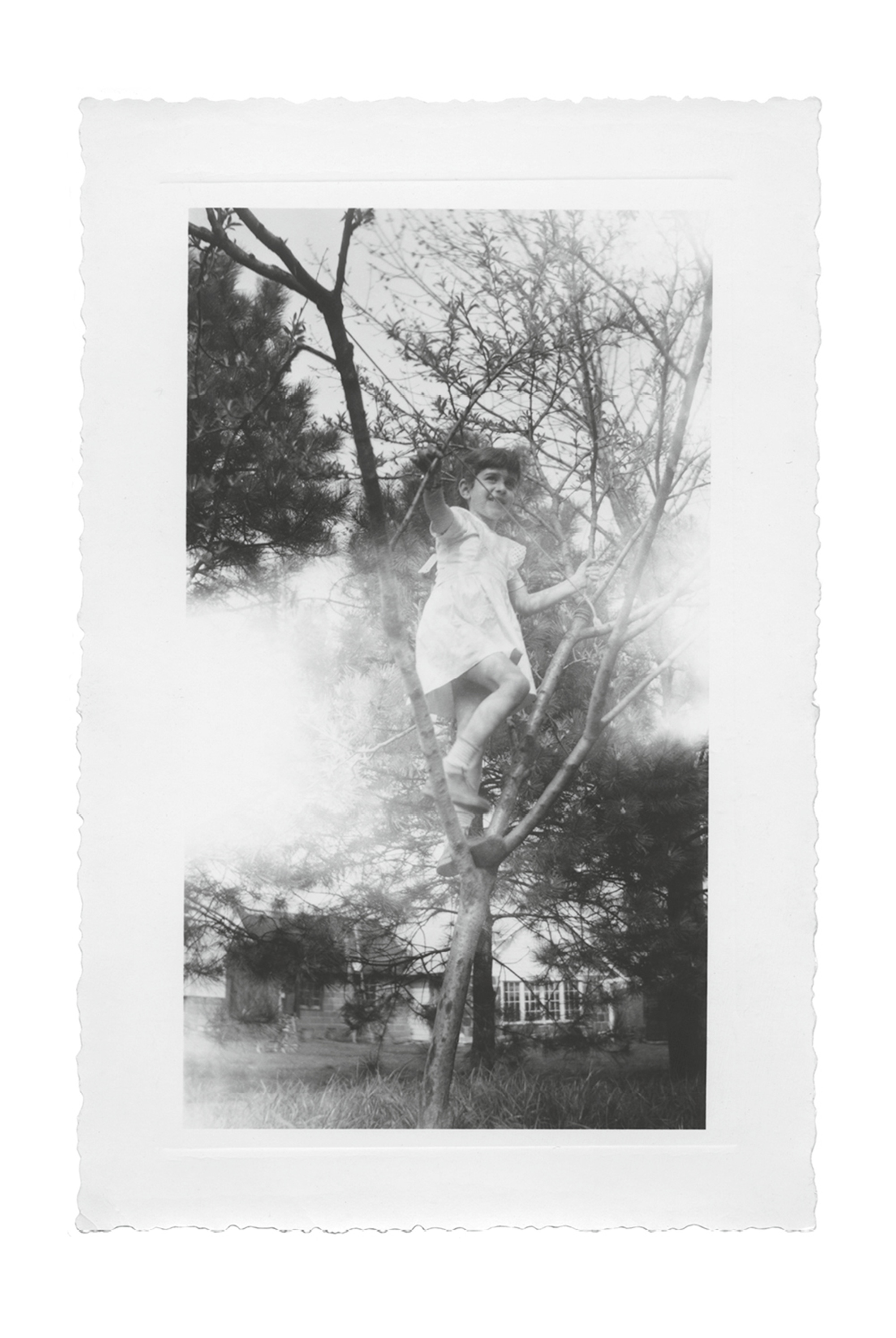 A photograph of a young girl climbing a sapling. 