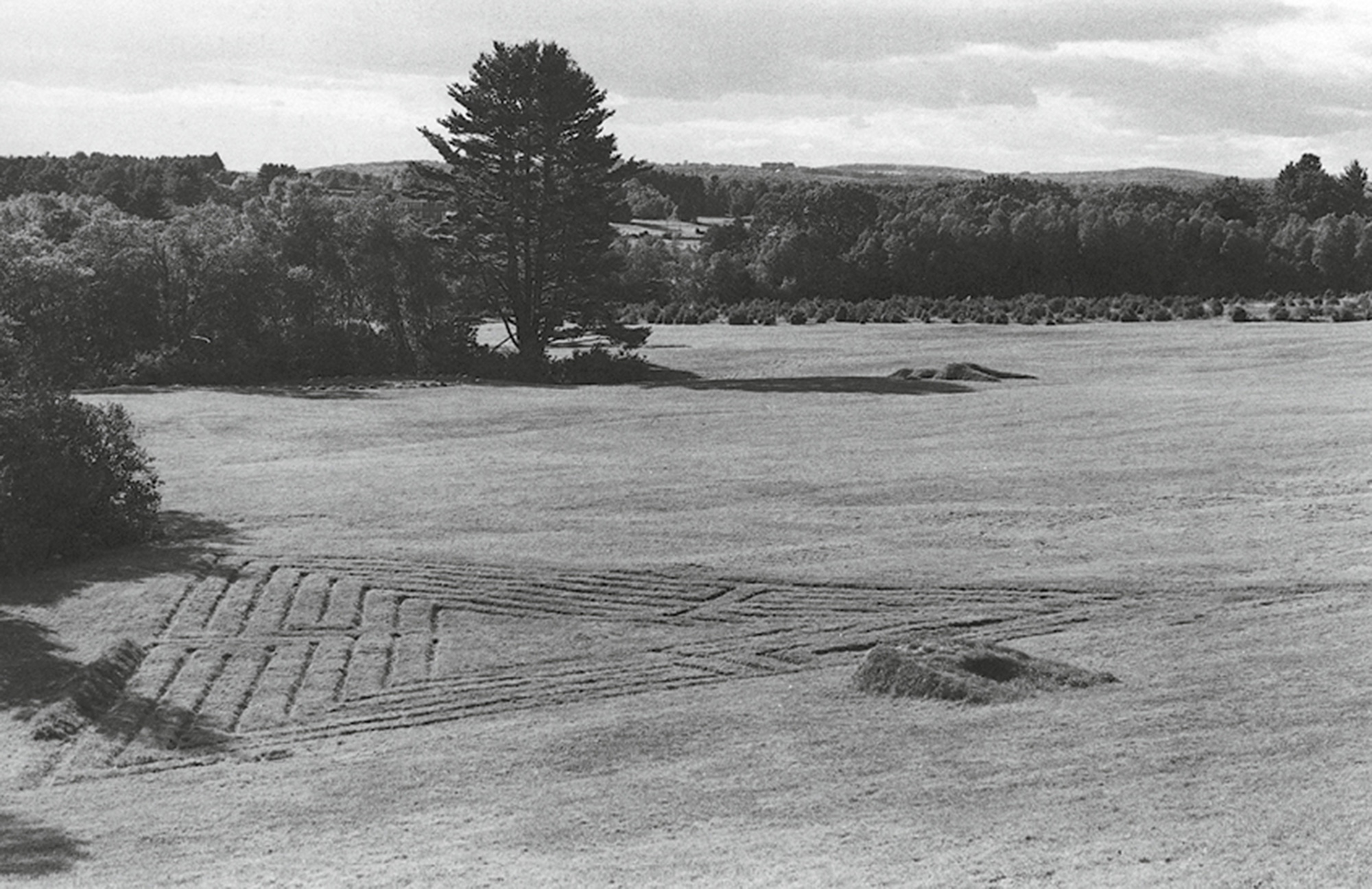 A photograph of Pratt Farm, with the nineteen seventy-four land artworks “Turf Maze” and “Observatory” in the foreground.