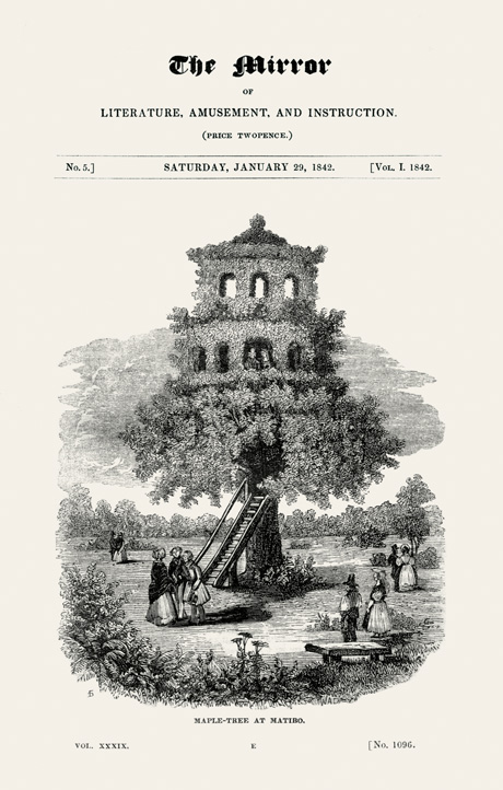 An illustration of the “maple tree at Matibo,” from an eighteen forty-two issue of “The Mirror of Literature, Amusement, and Instruction.”