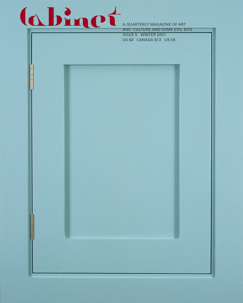 Photograph of the front of of artist Francis Cape’s 2001 work “Cabinet 45,” which consists of a turquoise-colored cabinet commissioned for the fifth anniversary of the magazine.