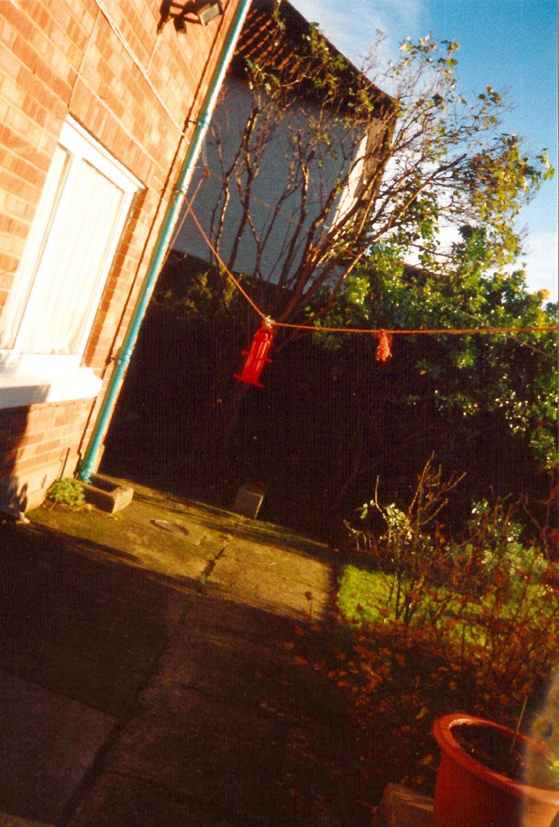 A photograph by Vera Merriman of her back yard and the fence that borders her neighbor’s property.