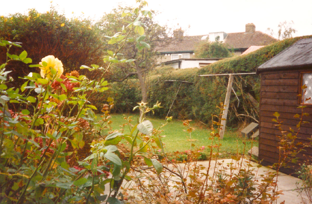 A photograph by Vera Merriman of her garden hedges. 