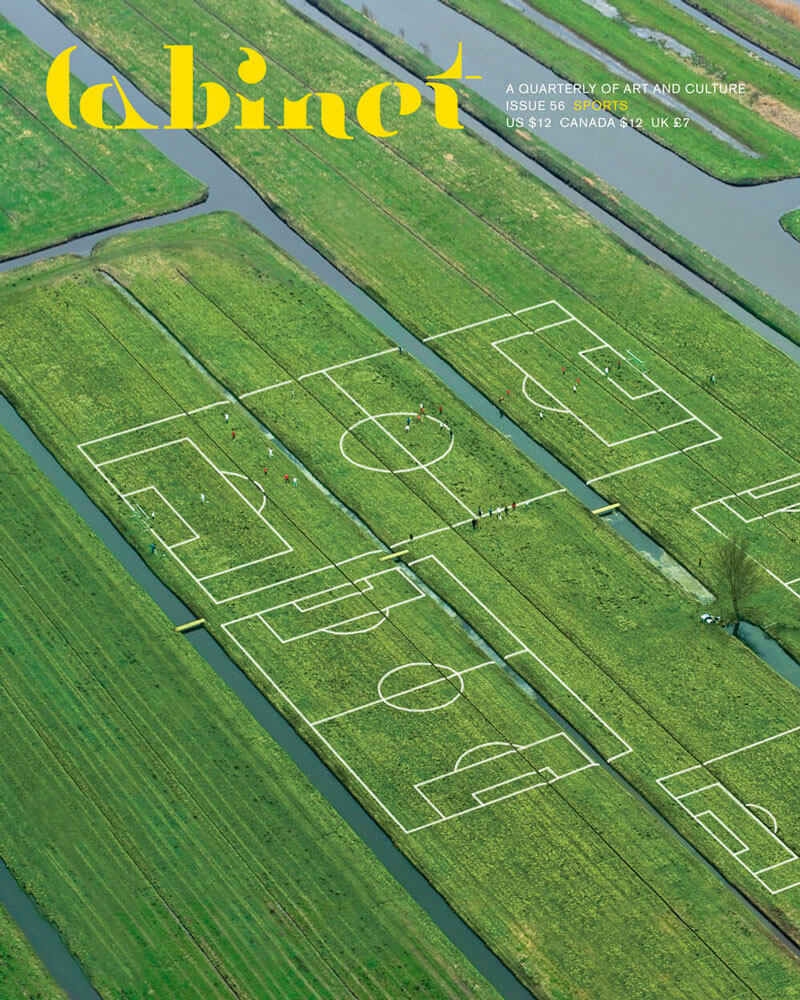 An aerial photograph of artist Maider López’s 2010 work Polder Cup, which consisted of a one-day soccer tournament organized by the artist in the polders of Ottoland in the Netherlands. The soccer fields are partitioned at various points by channels of water.
