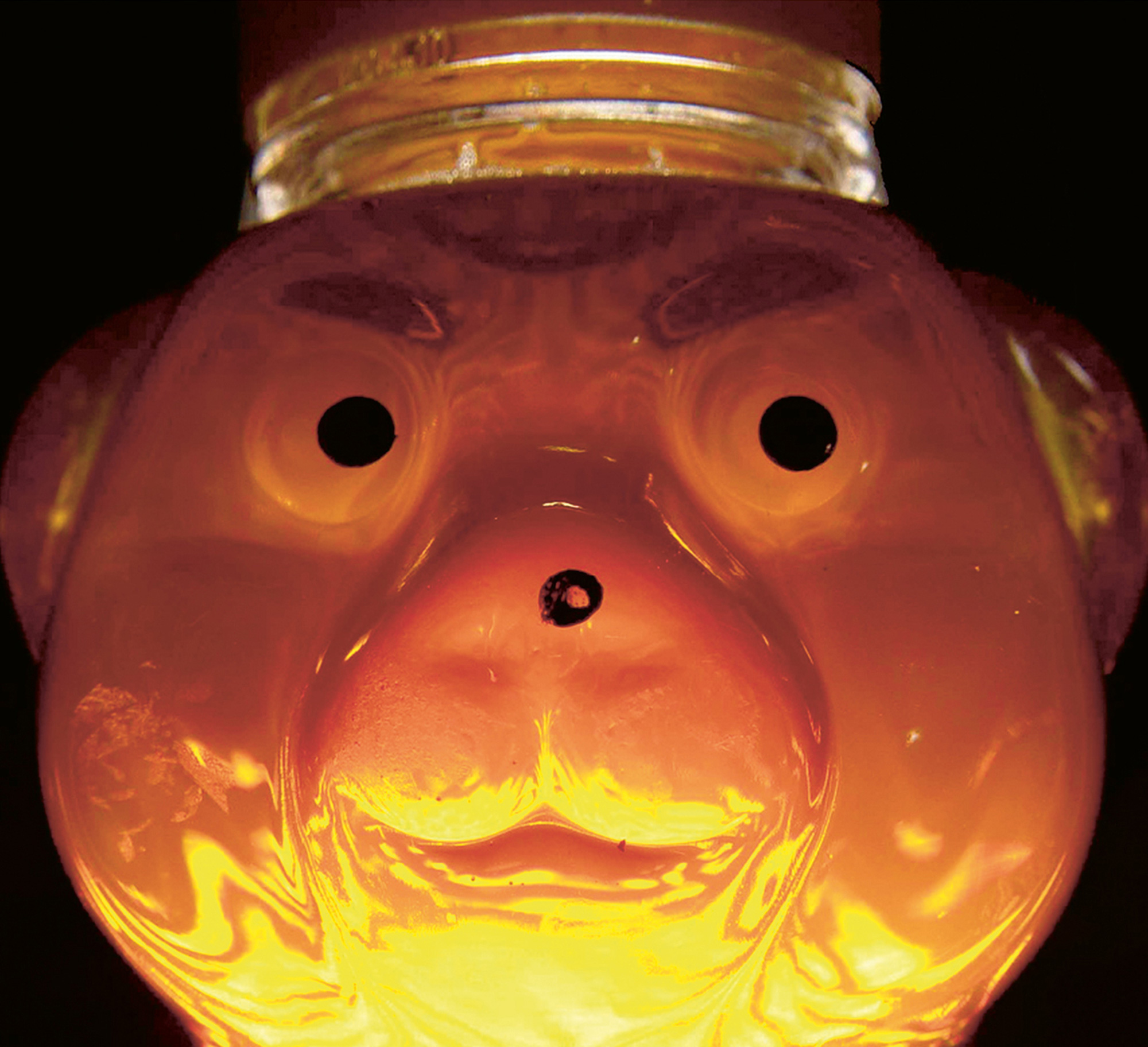 A sinister photograph of the face of a bear-shaped plastic honey bottle.