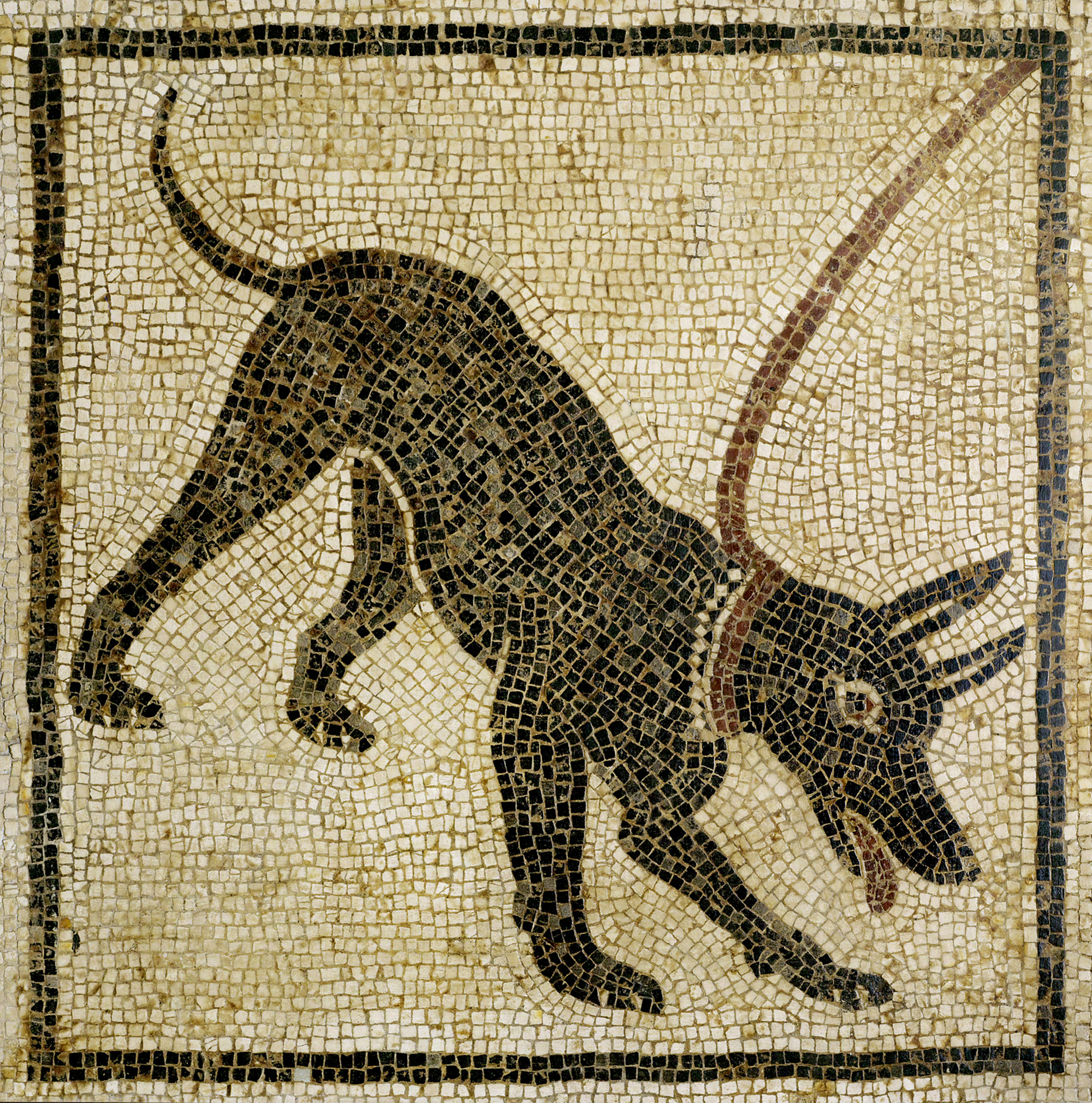 Mosaic from the “House of Orpheus” in Pompeii warning would-be thieves of the presence of a guard dog, first century CE.
