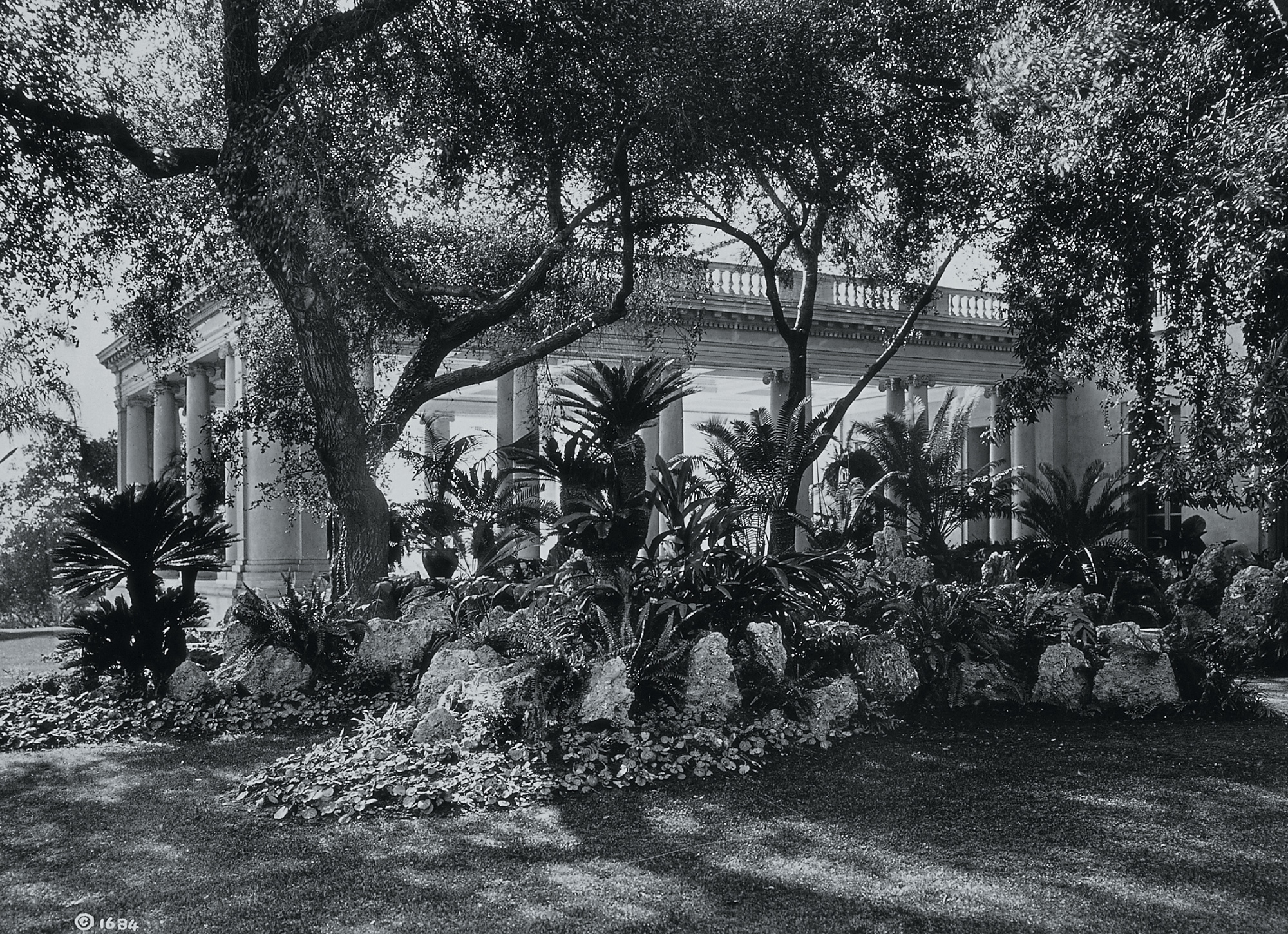 An undated photograph of rockery with cycads at Huntington Gardens in San Marino, California.