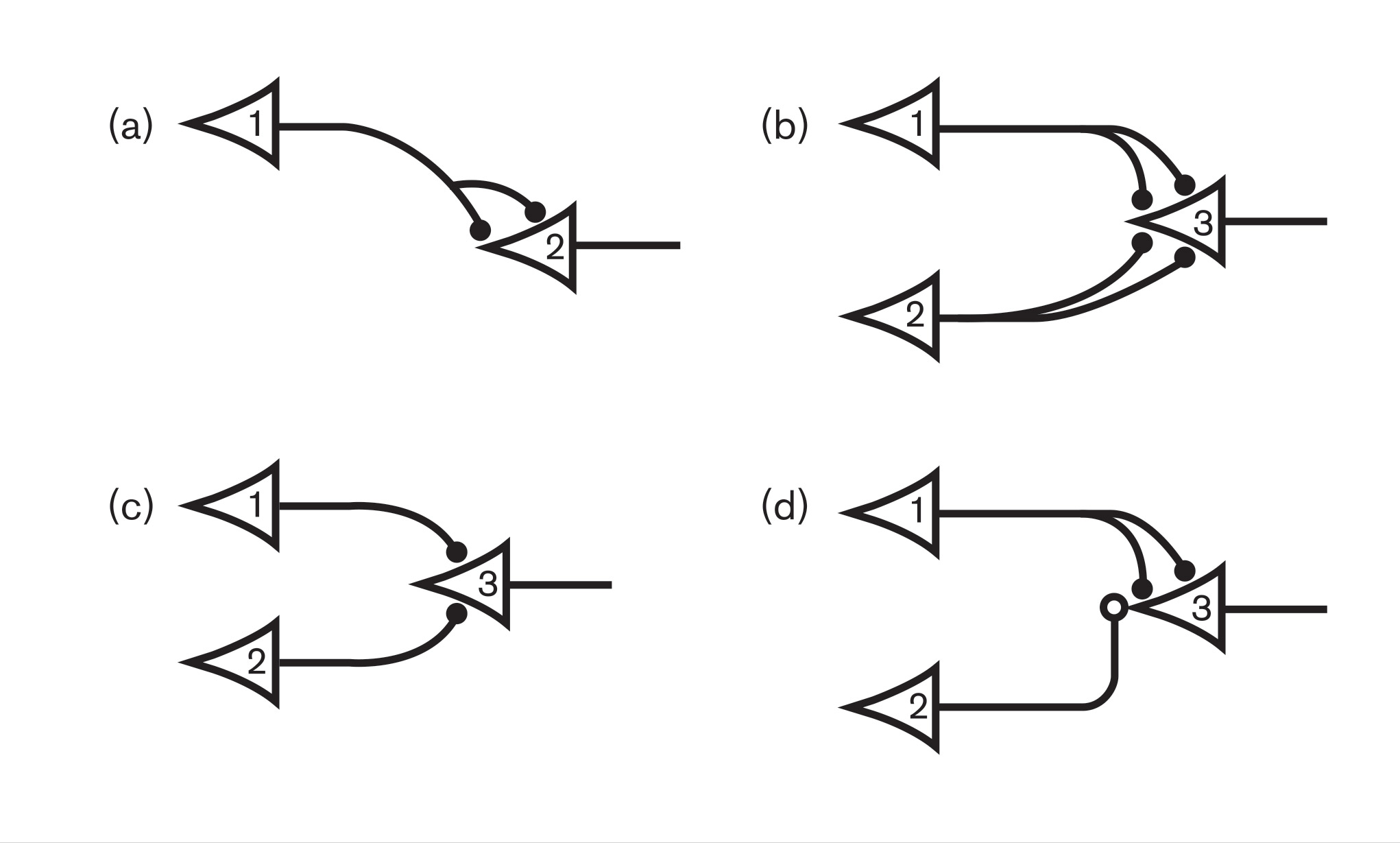 A diagram depicting a nervous net, a configuration of synapses with impulses that correspond to Boolean functions. Each synapse indicates which impulses are necessary for various functions.