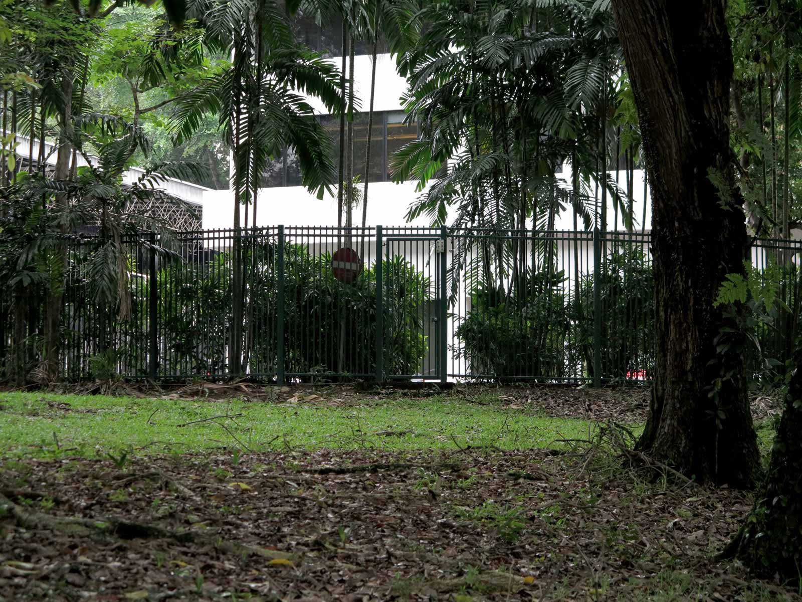 Photograph of the backdoor of an embassy.