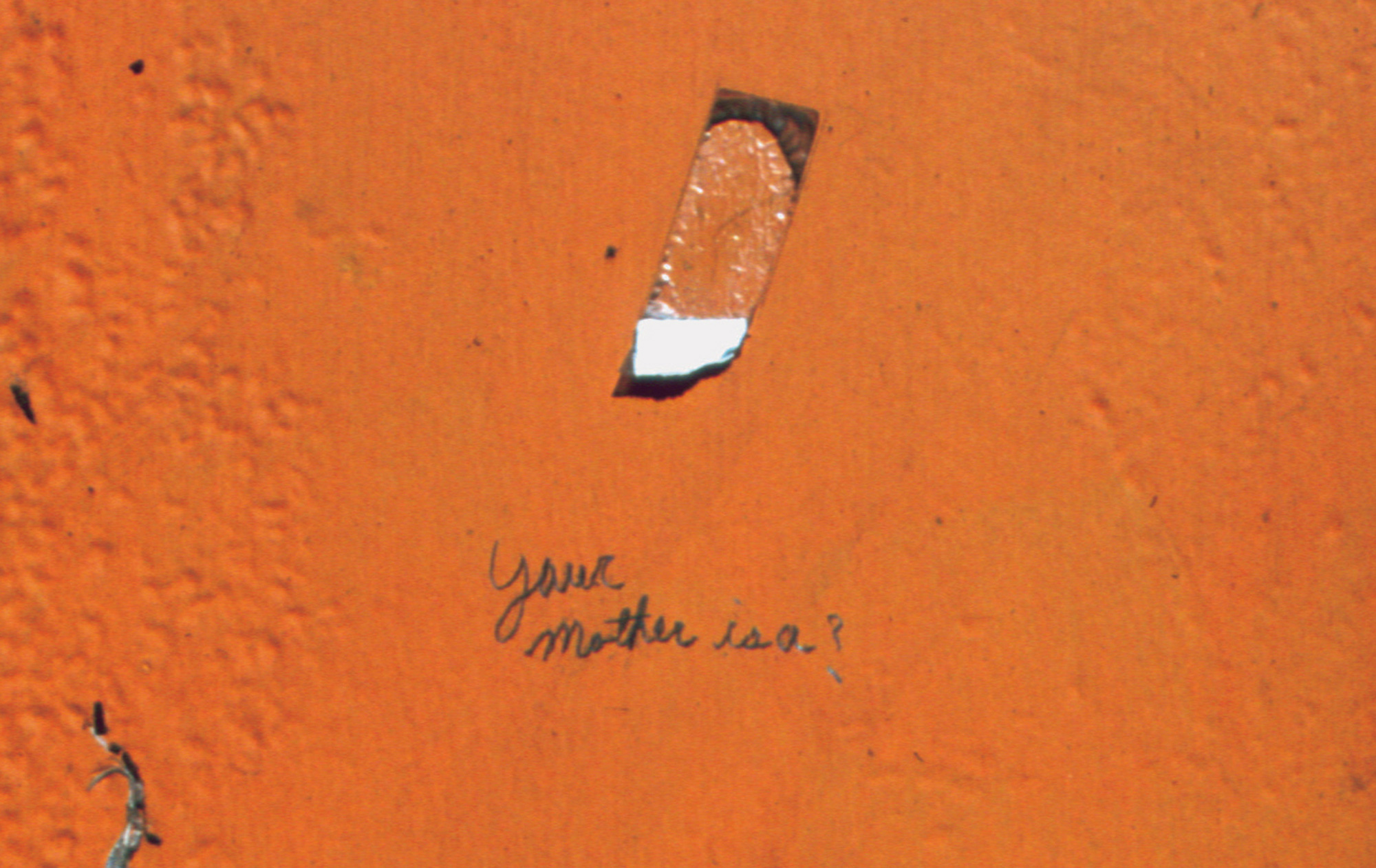 A detail photograph of the surface of Allen Mooney's sculpture “Iroquois Walk” showing graffiti reading “your mother is a ?”