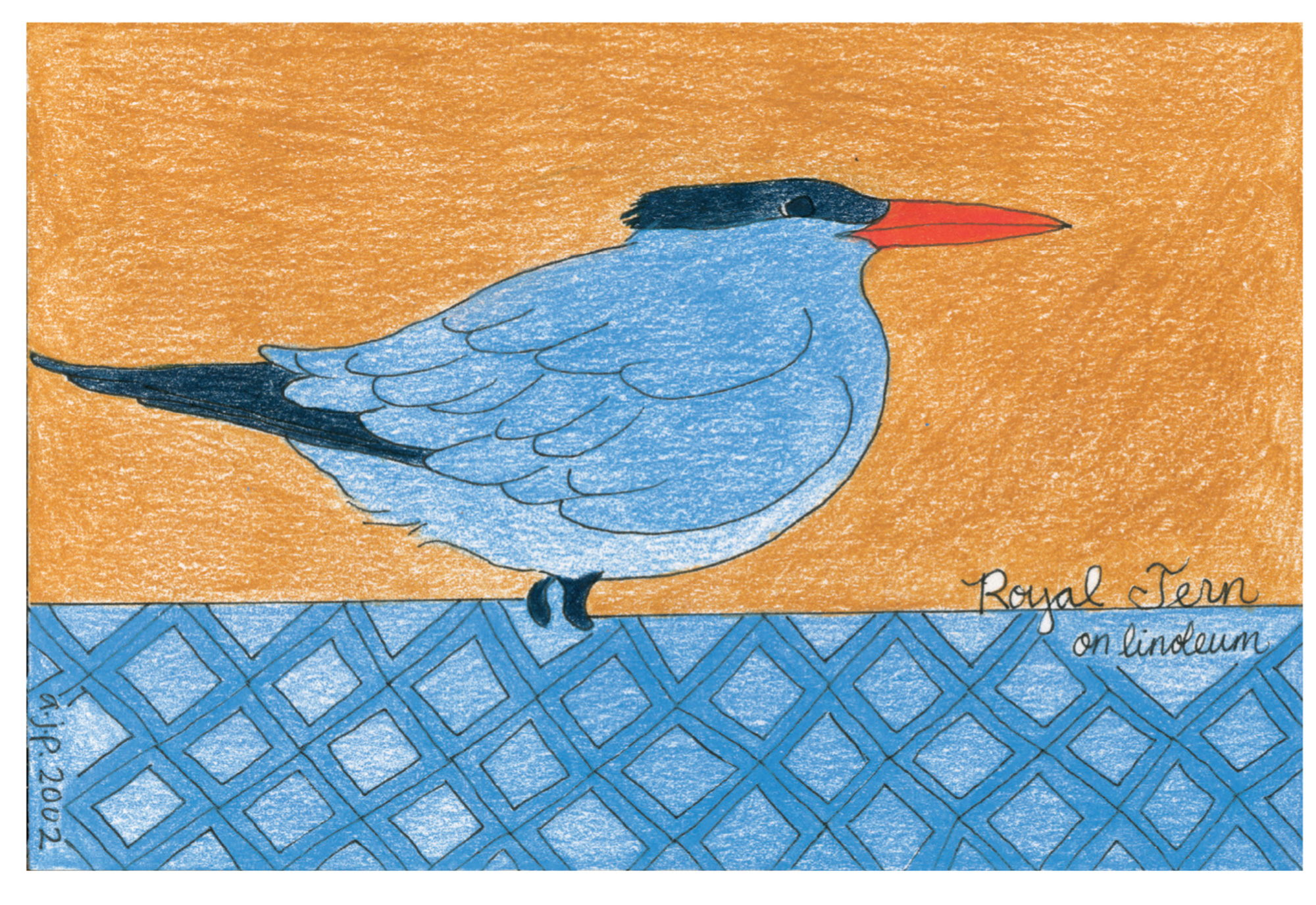 A 2002 drawing by Amy-Jean Porter of a royal tern on linoleum.