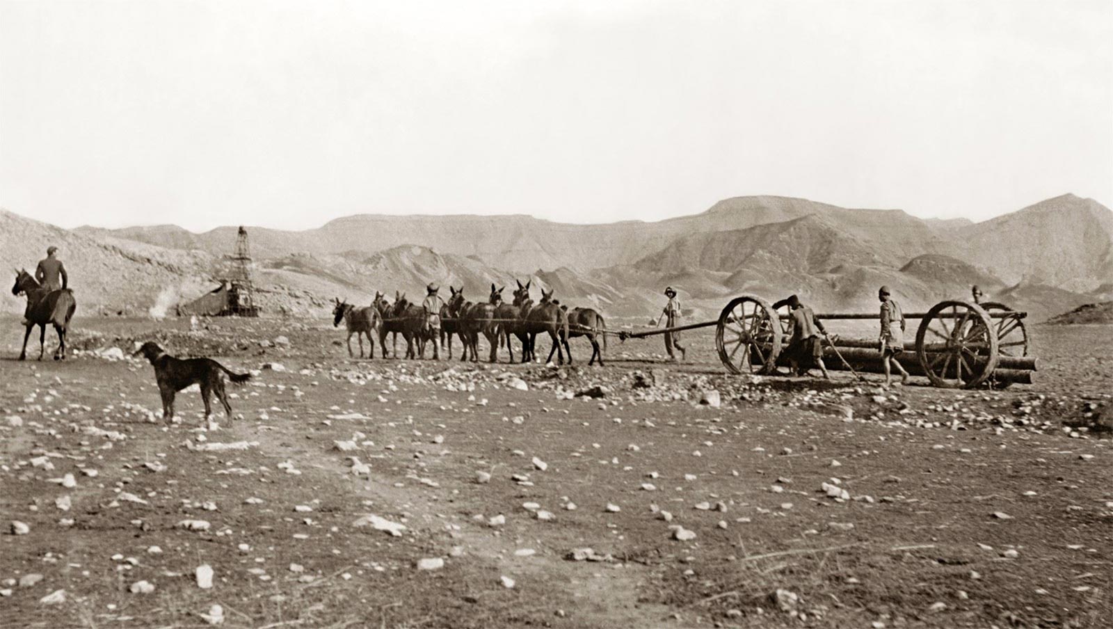 A nineteen fourteen photograph showing an Anglo-Persian Oil Company official on horseback looking on as local laborers transport casing for a pipeline near the town of Abadan.