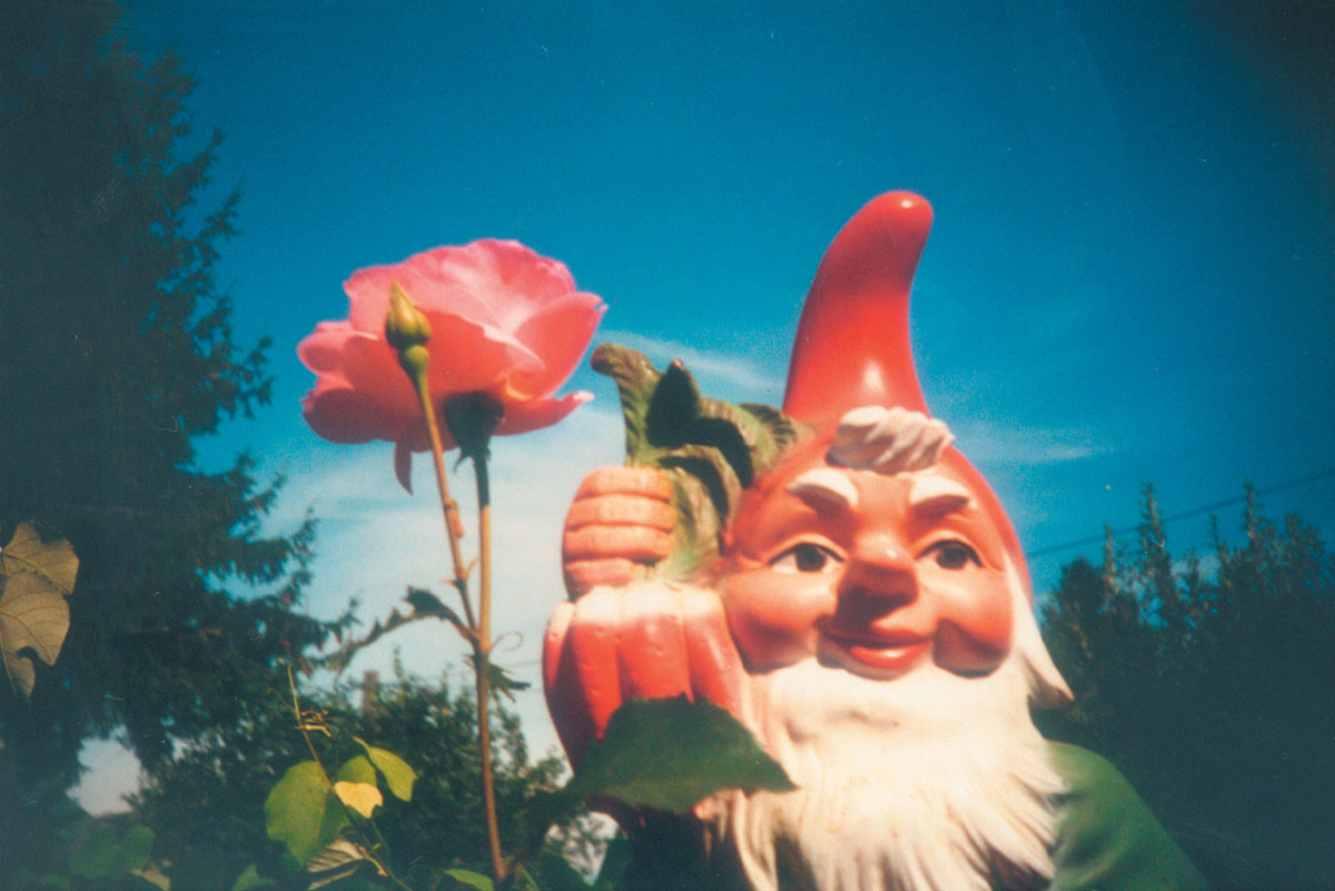 A Lomographic image depicting a garden gnome.