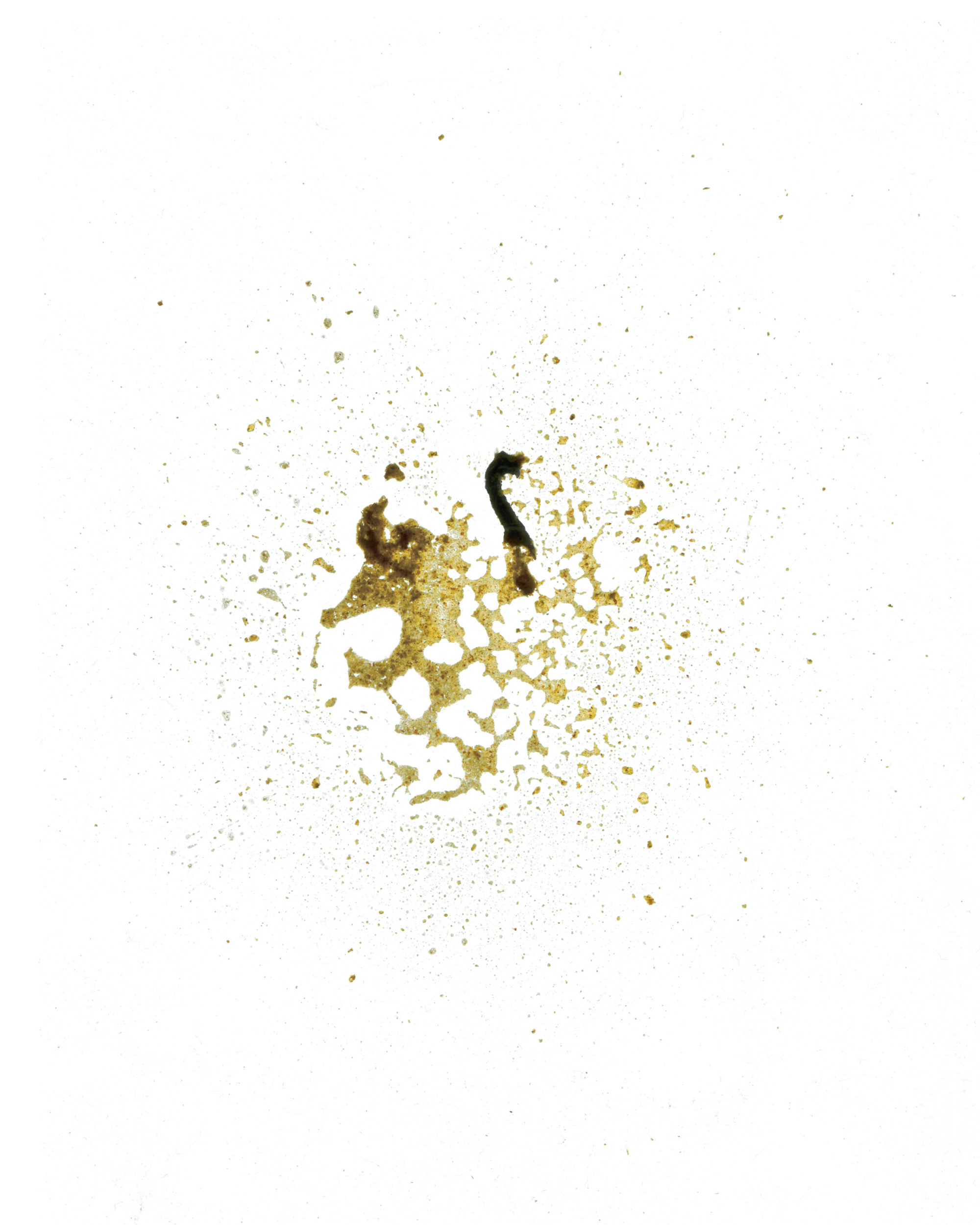A photograph of a splotch of a sulphur-colored substance.